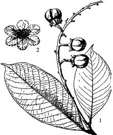 pagenumber_ebook=97,pagenumber_book=97