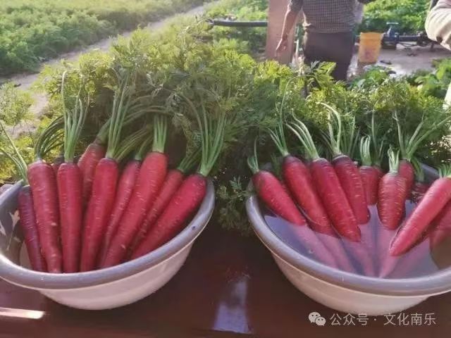 微信图片_20250206091133 微信图片_20250206091133.jpg