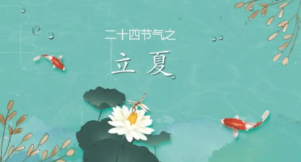 图片 图片.png?v=1761705788464