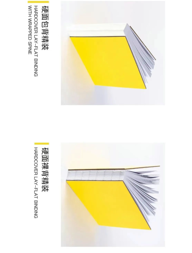 image.png?v=1757830622152