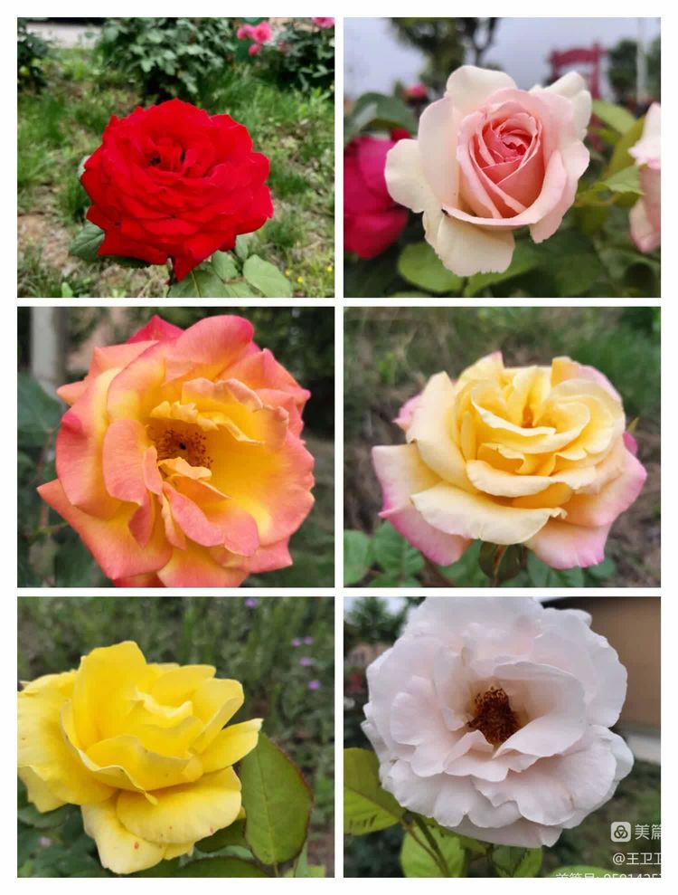 dd4f0eff351163ed6874b40d846df6fb