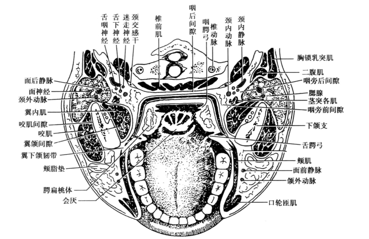 pagenumber_ebook=116,pagenumber_book=107