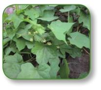 pagenumber_ebook=99,pagenumber_book=86