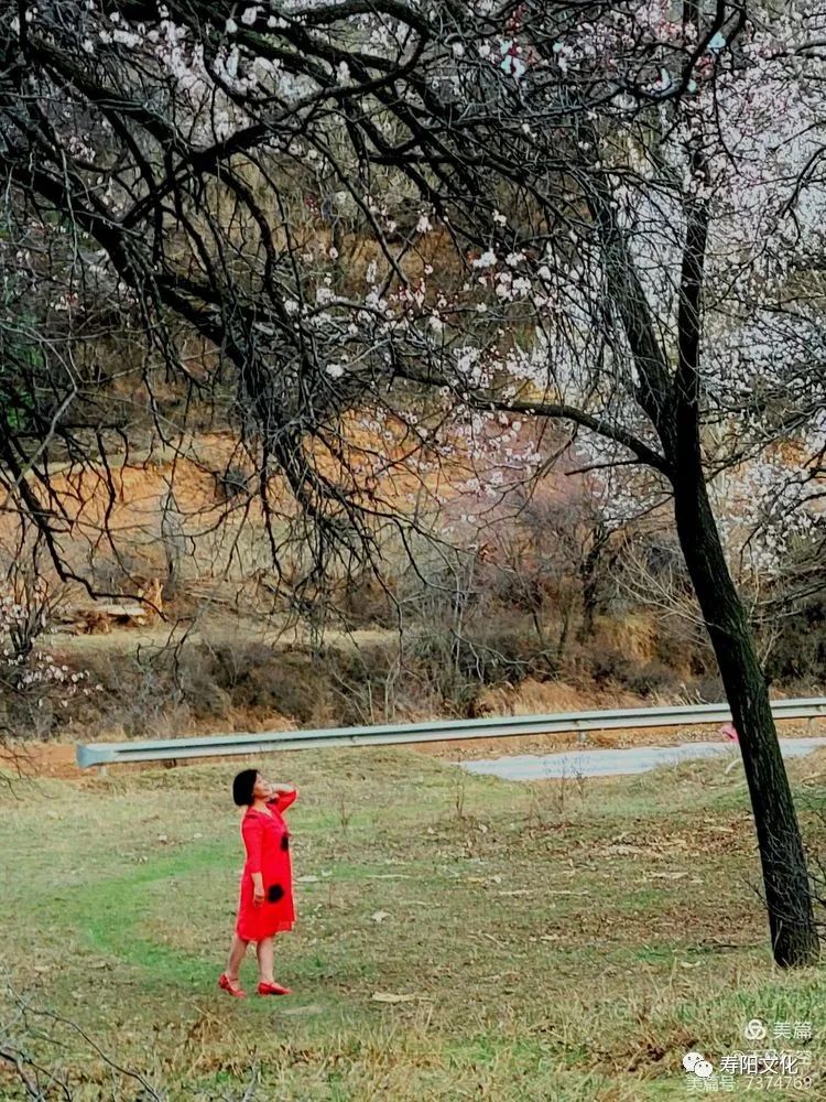 640 (21) 640 (21).jpg