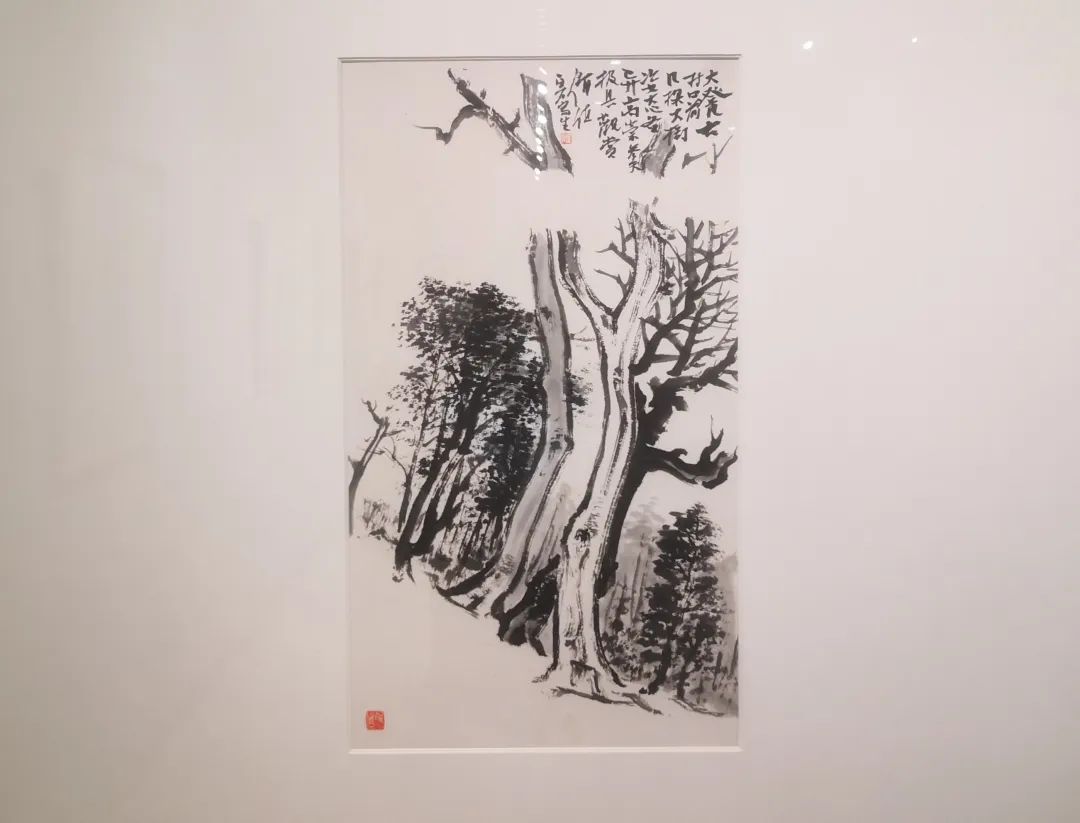 98416daea25fb53de69c4d86a5de9a12