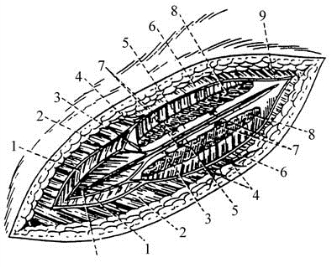 pagenumber_ebook=81,pagenumber_book=66