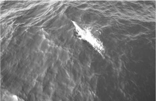 pagenumber_ebook=147,pagenumber_book=137