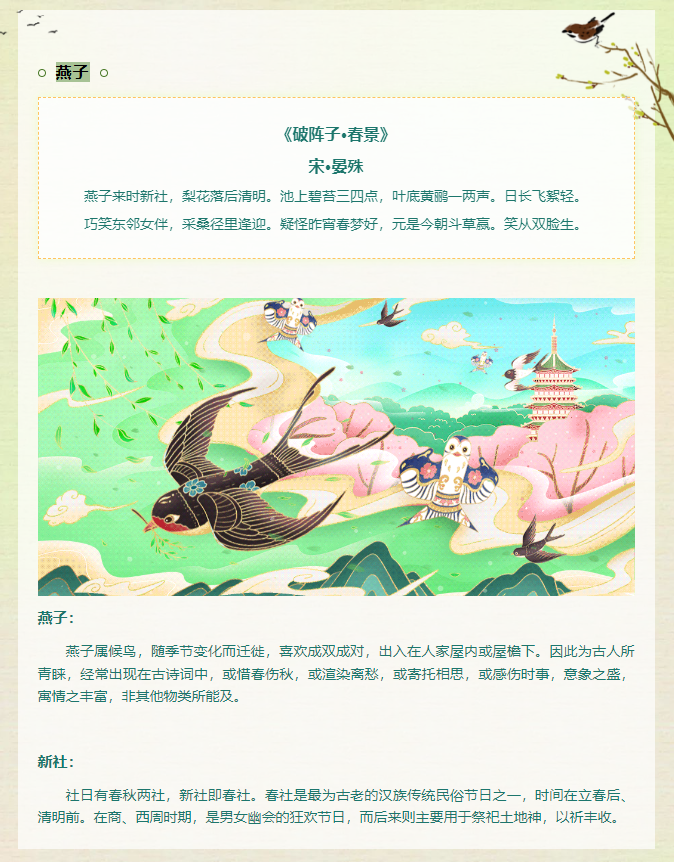 image image.png?v=1770975012217