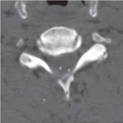 pagenumber_ebook=11,pagenumber_book=2