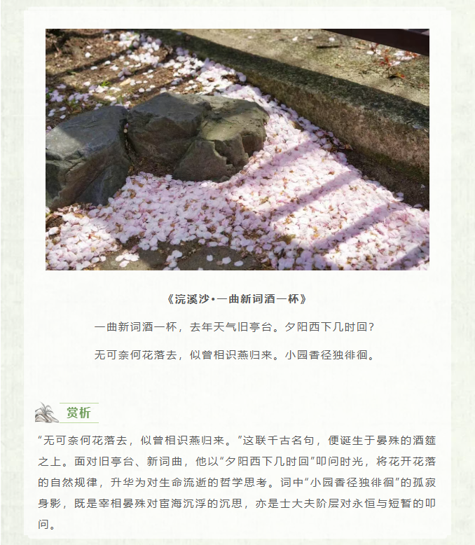 image.png?v=1770178027987