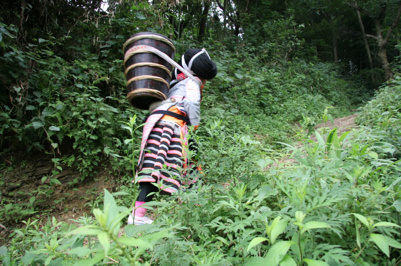 2.3 2.3.jpg?v=1762788190809