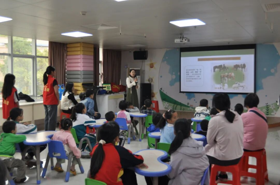 图片5 图片5.png?v=1764946041400