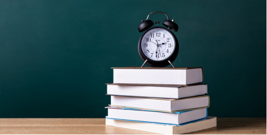 image image.png?v=1765715274529