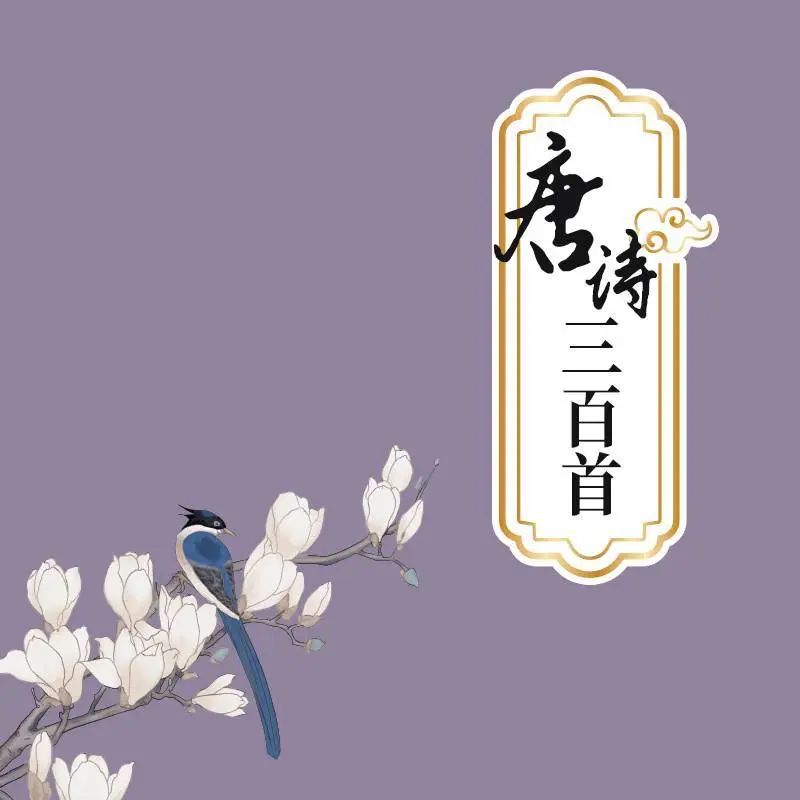 微信图片_20241231173319 微信图片_20241231173319.jpg?v=1762991916017