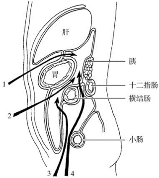 pagenumber_ebook=486,pagenumber_book=471