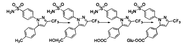 pagenumber_ebook=500,pagenumber_book=482