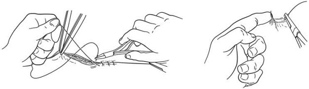 pagenumber_ebook=50,pagenumber_book=35