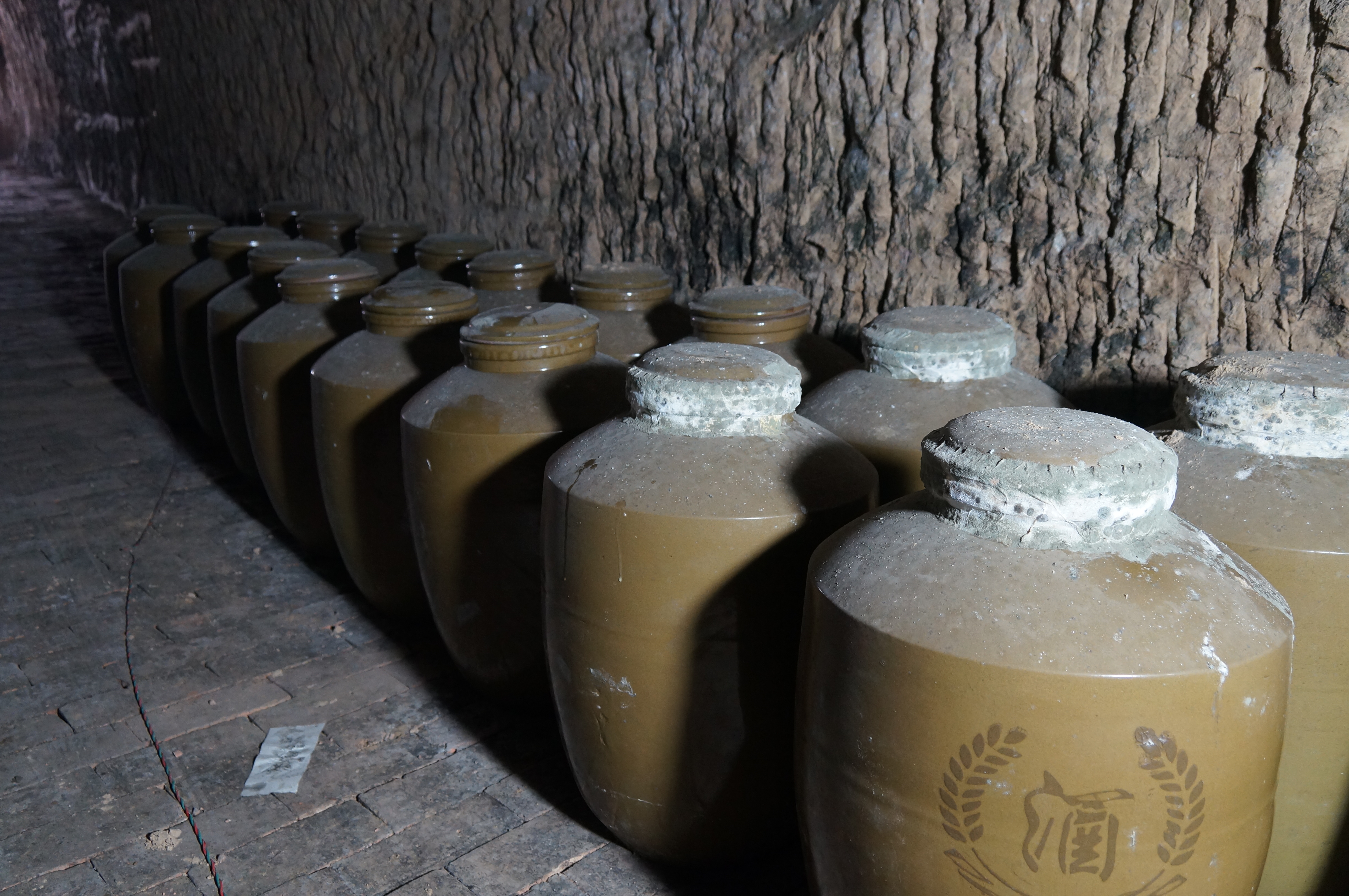 DSC00012 DSC00012.jpg