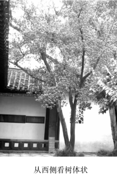 pagenumber_ebook=125,pagenumber_book=125