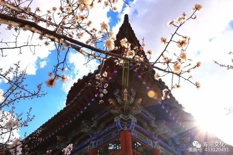 微信图片_20230414095912