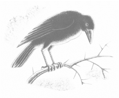 pagenumber_ebook=595,pagenumber_book=589