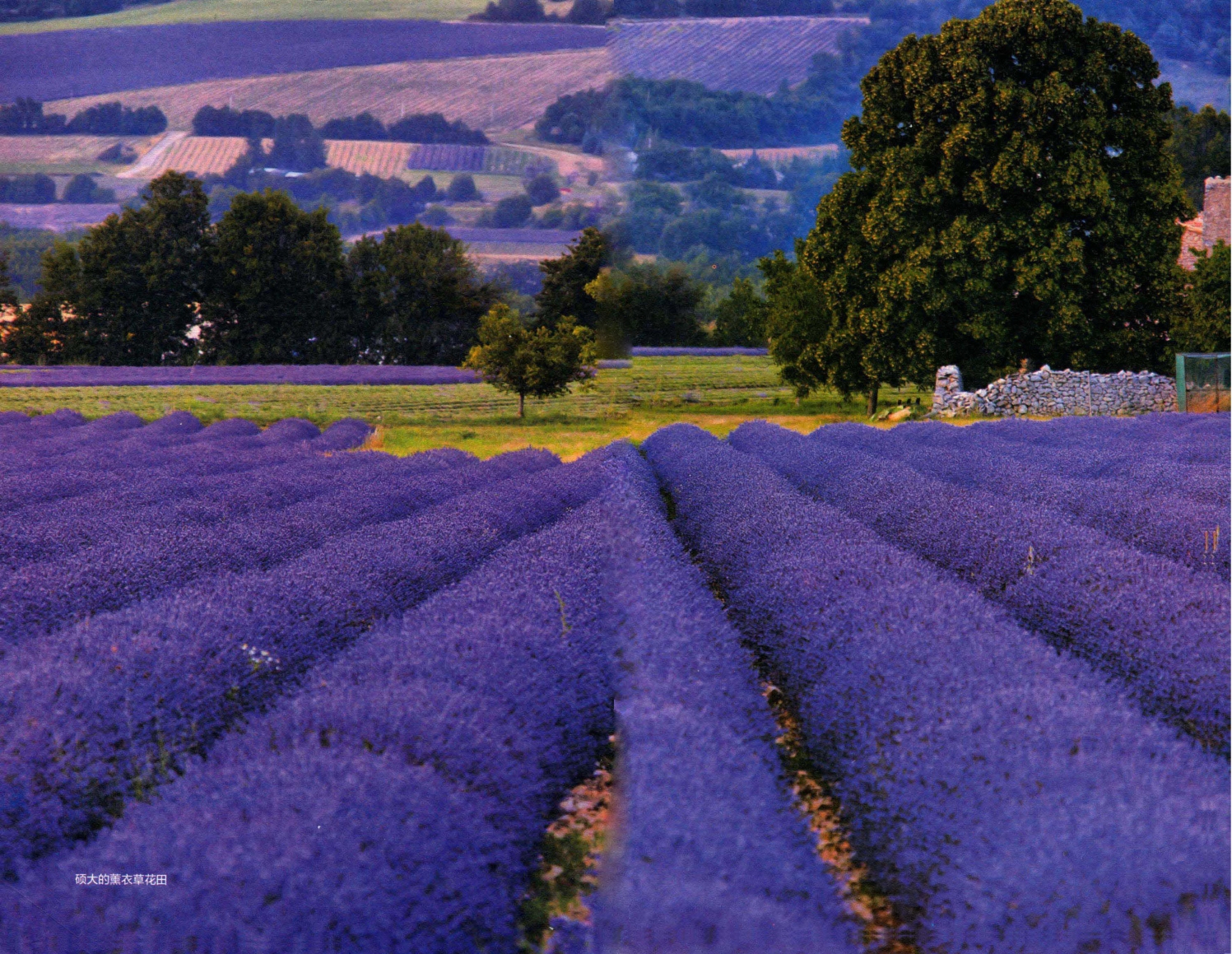 pagenumber_ebook=73,pagenumber_book=64