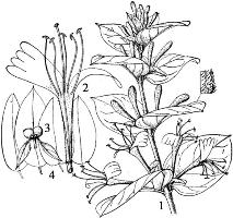 pagenumber_ebook=186,pagenumber_book=186