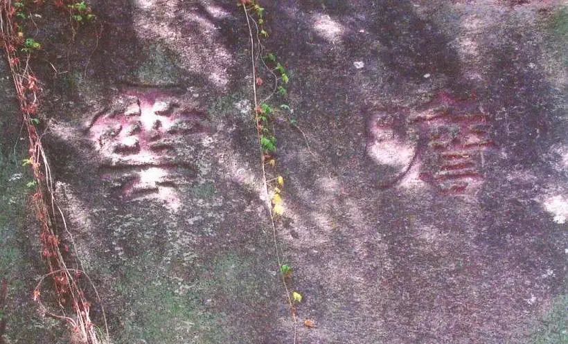 微信图片_20220411102501 微信图片_20220411102501.jpg