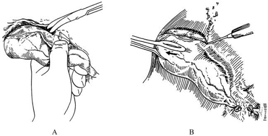pagenumber_ebook=97,pagenumber_book=82