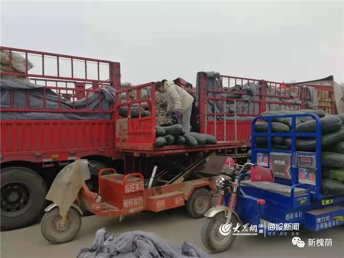 微信图片_20200323154727