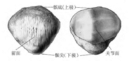 pagenumber_ebook=23,pagenumber_book=5