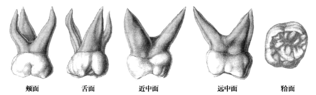 pagenumber_ebook=44,pagenumber_book=35