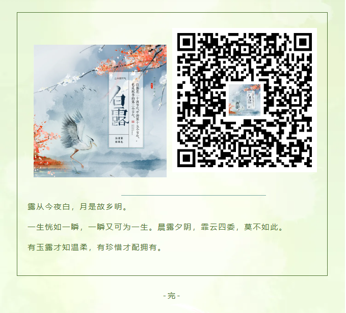 image.png?v=1757819382200