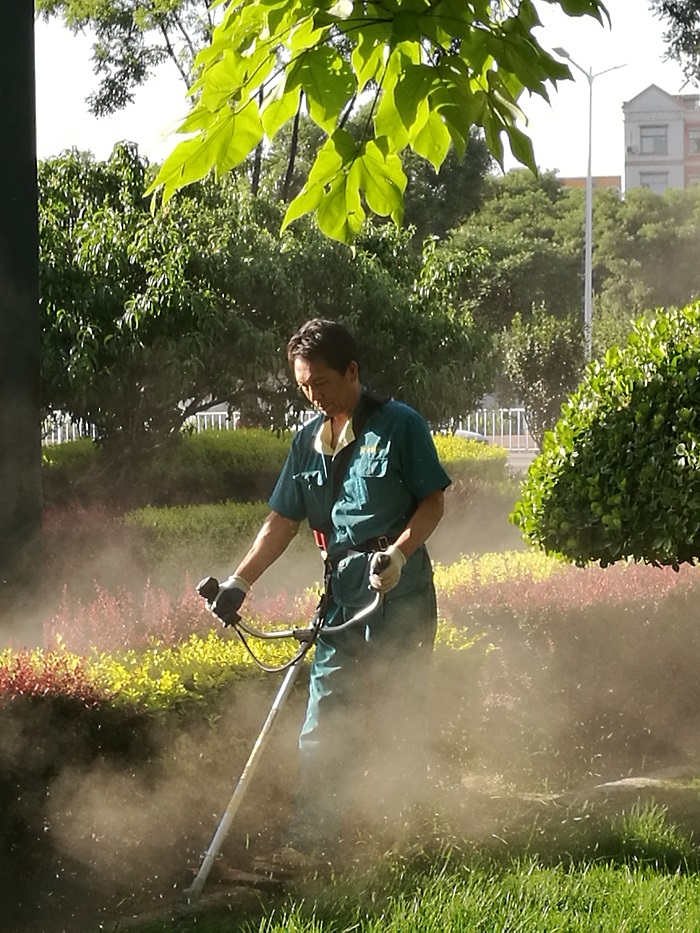 作品名称《绿色使者》 作者 李茂德  联系电话13994553636.jpg