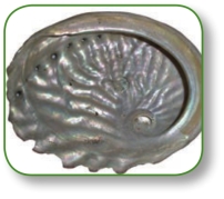 pagenumber_ebook=233,pagenumber_book=220