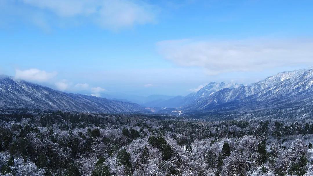 微信图片_20210118161056