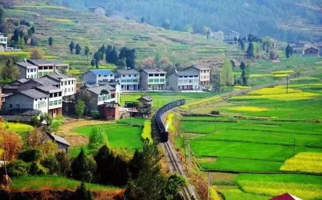 IMG_1411(20200417-104816) IMG_1411(20200417-104816).jpg?v=1765781105416