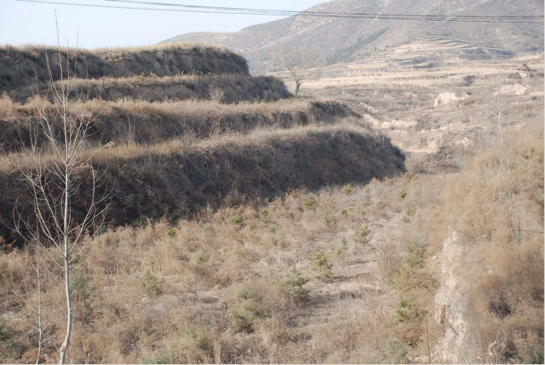 图片6古城城址东城垣残貌 图片6古城城址东城垣残貌