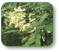 pagenumber_ebook=163,pagenumber_book=150