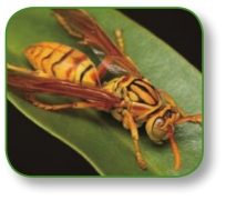 pagenumber_ebook=312,pagenumber_book=299