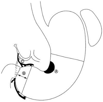 pagenumber_ebook=522,pagenumber_book=507