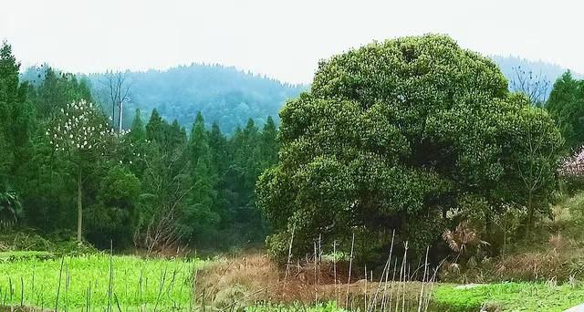 wps_doc_16 wps_doc_16.jpeg