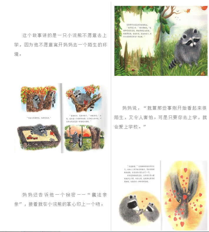 5 5.png?v=1772869541094