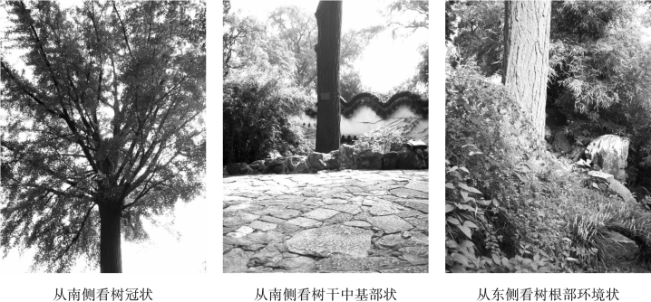 pagenumber_ebook=95,pagenumber_book=95