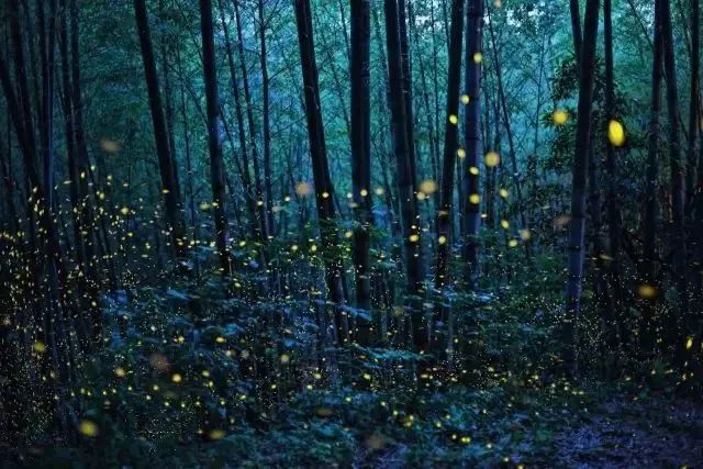 89958eb65a04b676cb781403af9ab284 89958eb65a04b676cb781403af9ab284.jpg