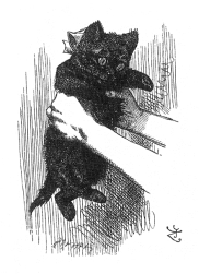 pagenumber_ebook=266,pagenumber_book=260