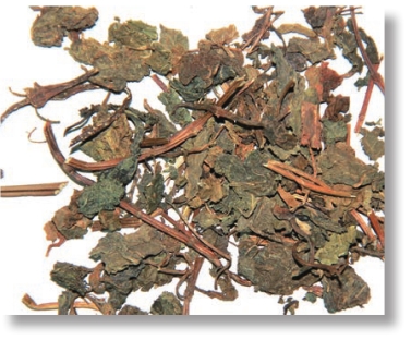 pagenumber_ebook=16,pagenumber_book=3