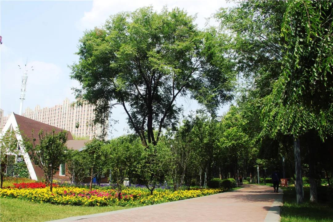 微信图片_20200727091037