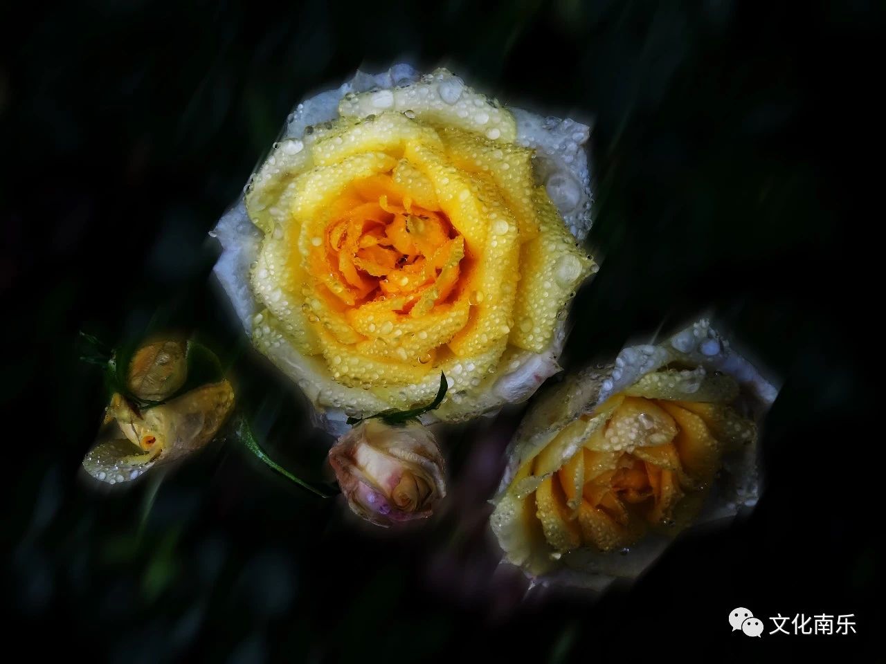 685bd7af085c1b6f218421a286802a03 685bd7af085c1b6f218421a286802a03.jpg