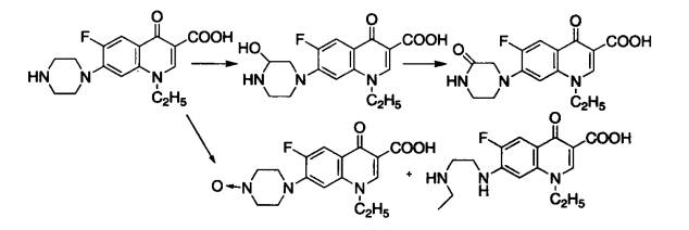 pagenumber_ebook=264,pagenumber_book=246